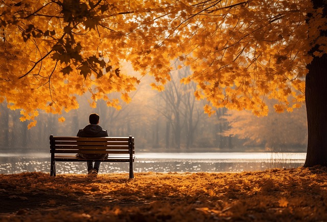 fall-8338751_640