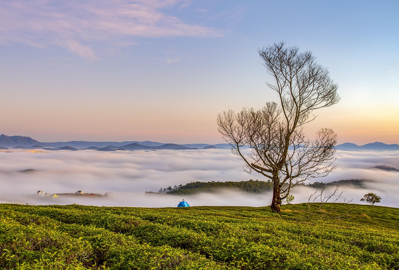 morning-4411421_1280